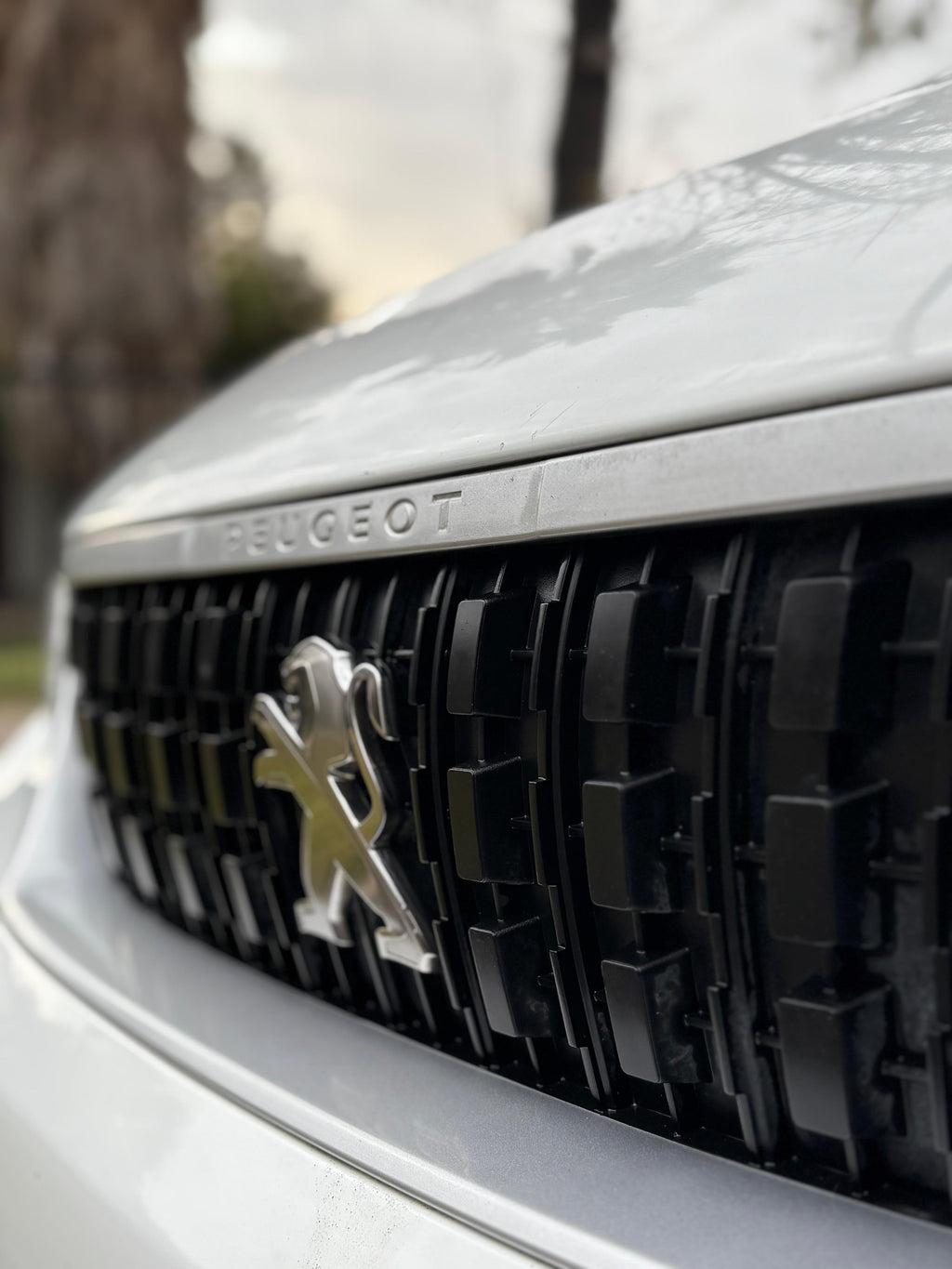 Peugeot Expert 2.0 T Diesel 2021